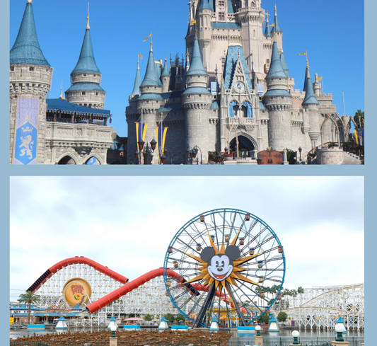 Disneyland vs Disney World